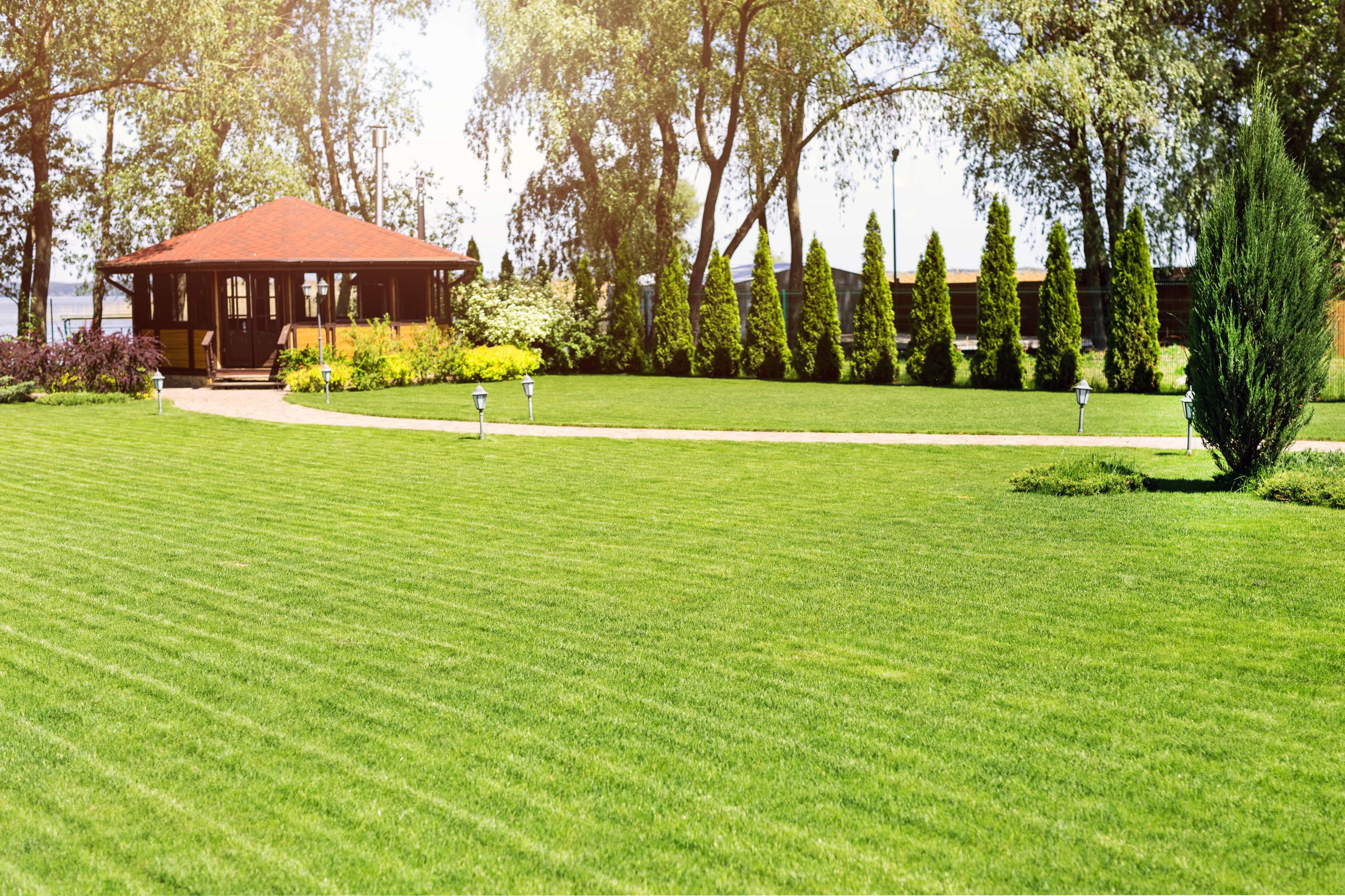 Hero image for D&C Precision Lawn Care